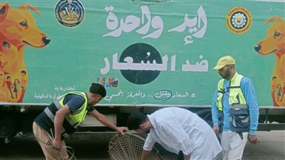 محافظ الدقهلية يتابع حملة لمواجهة الكلاب الضالة بمدينة طلخا
