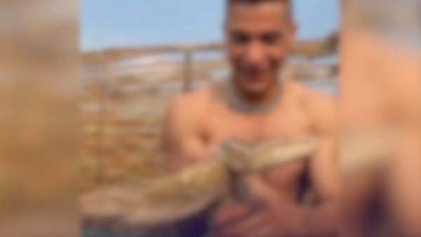 ضبط صانع محتوى