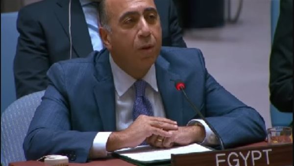 مصر أمام مجلس الأمن: لامبرر للصمت إزاء تأجيج الصراع بالسودان