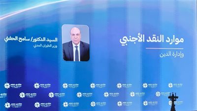 وزير الطيران يستعرض أمام «منتدى مصر 2026» خطة تطوير المطارات وتوسعات النقل الجوي لتعزيز موارد النقد الأجنبي حتى 2030