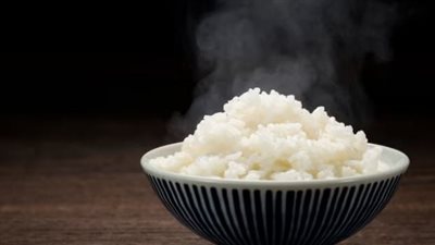 وجبات دافئة 