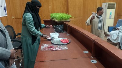 وحدة السكان بالأقصر تنظم ورشة عمل حول استنبات الشعير وتجفيف الطماطم».. صور