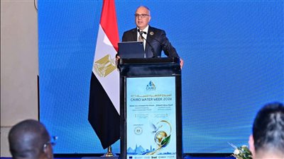 سويلم: التعاون المشترك والالتزام بالقانون الدولي ركيزتان لتحقيق الأمن المائي بحوض النيل 
