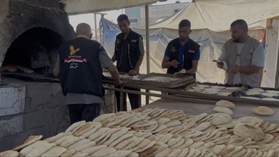 مصر تواصل جهودها الإغاثية في غزة.. دعم تشغيل 17 مخبزا وتوزيع مساعدات غذائية وشتوية 
