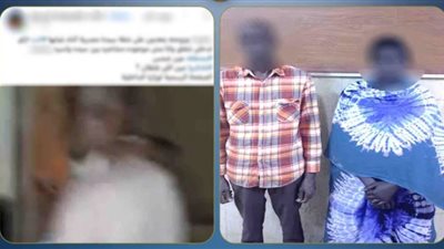 ضبط أجنبيين اقتحما شقة جارتهما بعين شمس