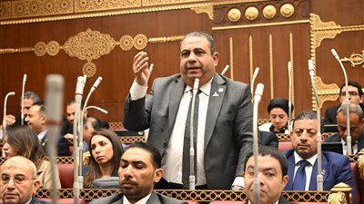 النائب أيمن الصفتي يتقدم باقتراح برغبة لمواجهة تشغيل الأطفال بالمزارع وتفعيل الرقابة على الأسر الأكثر احتياجًا