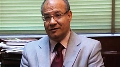 «اللاوندي»: توجد قوة دولية تسعى لإحداث توترات بين مصر والسودان