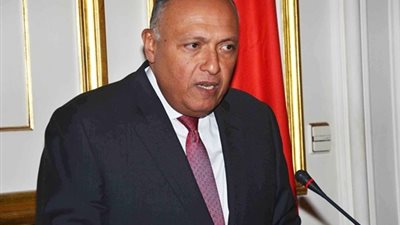 «شكري» يبحث مع وزير الخارجية الإثيوبي الإعداد للجنة الثلاثية بـ «شرم الشيخ»