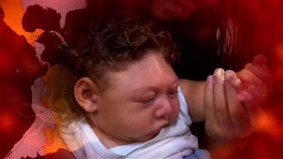 «أبحاث» تكشف ظهور بعوضة جديدة تنقل فيروس «زيكا»